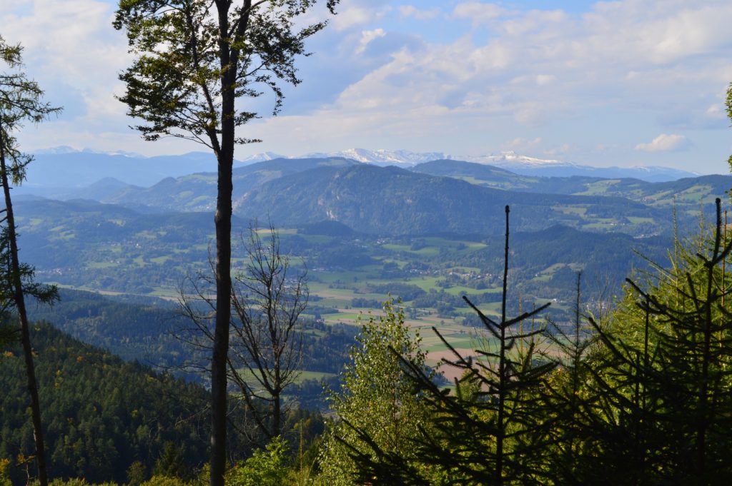 Uitzicht vanaf de Ulrichsberg, die tegenover Freudenhof ligt