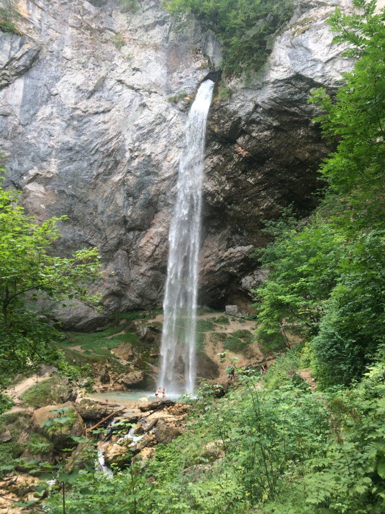 Wildensteiner1
